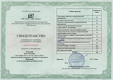 Образец документа по программе: вожатый